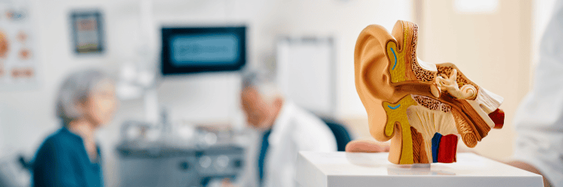 acudir a un especialista auditivo » Tecnisor Audífonos